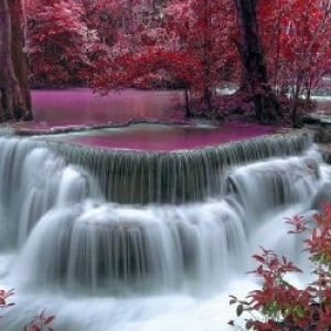 Фотошпалери №58 Розовый водопад (в тубі)